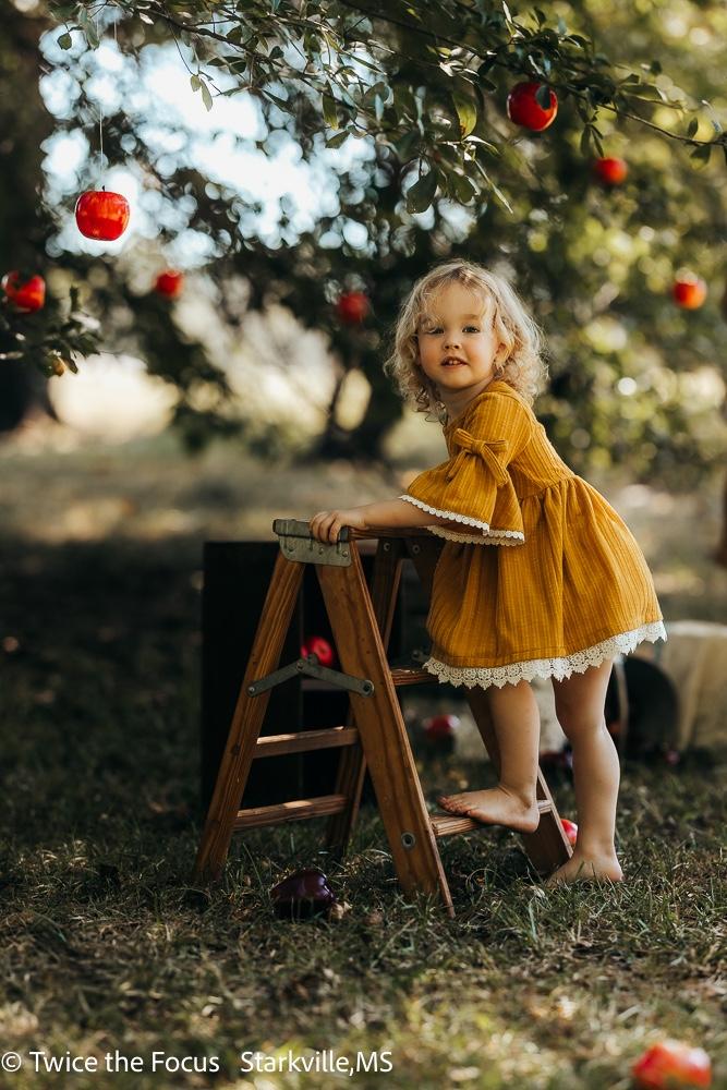 apple season